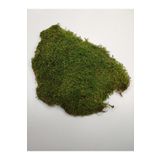 Yosun Doğal Kara U 25x25cm - Terraryum, Minyatür Bahçe Ve Aranjmanlar Kara U