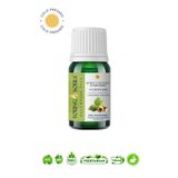 Young Souls 10 ml Aromaterapi At Kestanesi (Bitkisel Sabit) Yağ