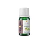 Young Souls 10 ml Aromaterapi Çay Ağacı Uçucu Yağ