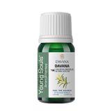 Young Souls 10 ml Aromaterapi Davana Uçucu Yağ