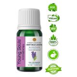 Young Souls 10 ml Aromaterapi Hibrit Melez Lavanta Uçucu Yağ