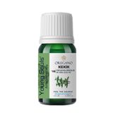 Young Souls 10 ml Aromaterapi Kekik Uçucu Yağ
