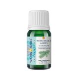 Young Souls 10 ml Aromaterapi Ladin Uçucu Yağı