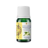 Young Souls 10 ml Aromaterapi Roman Papatyası Uçucu Yağ