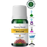 Young Souls Abundance Essential Oil Blend Essential Oil Blend Bolluk Uçucu Yağ Karışımı 10 ml