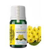Young Souls Aromatherapy Primrose Carrier Oil Çuha Çiçeği Taşıyıcı Yağ 10 ml