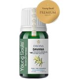 Young Souls Davana Uçucu Yağ ( Essential Oil ) 10 ml