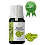 YOUNG SOULS Green Coffe Bean Carrier Oil ( Cold Pressed ) Yeşil Kahve Çekirdeği Taşıyıcı Yağ Soğuk Sıkım 10 ml