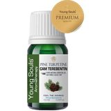 Young Souls Pine Turpetine Essential Oil Çam Terebentin Uçucu Yağ 10 ml