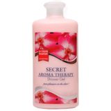 Youth Passport Secret 650 ml Duş Jeli