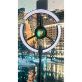 Yüceeller Rgb Modern Led Lambader Dim Edilebilir Oturma Odası Çalışma Odası Siyah Renk