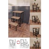 Yüceer Home Katlanabillir Metal Ahşap Basamaklı Tabure Merdiven Çiçeklik Çok Amaçlı Tabure