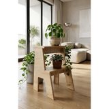 YüceerHome 2 Basamaklı Çiçeklik Saksılık Tabure Yan Sehpa Çok Amaçlı Kullanım Yükseltici
