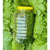 Yücehas Tarım Taze Asma Yaprağı Kuru Basım 3 Lt Pls Kavanoz Net: 1 kg