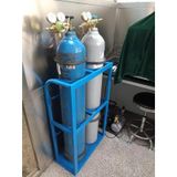 Yüksek performanslı oksijen şişesi iskeleti – oksijen, propan, CO2 ve azot tüpleri için bağımsız düzenleyici – Gaz tüplerinin güvenliği ve verimliliği için 100 cm yüksekliğinde depolama çözümü