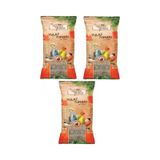 Yulaf Kuş Yemi 300 Gr 3 Adet