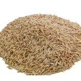 Yulaf Tohumu 1 KG