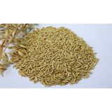 Yulaf Tohumu Kuş Yemi 500 Gram
