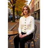 Yumuşak Dokulu Saç Örgü Desenli Reglan Kollu Bisiklet Yaka Kurdele Düğmeli Fitted Kesim Triko Hırka