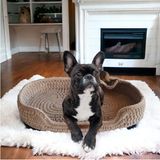 Yumuşak ve Rahat Bej Köpek Yatağı, 55 cm Genişlik, 10 cm Yükseklik - Ahşap - Bej - Seçenek 1