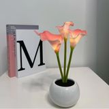 YUNBIAOSEN Pembe Calla Lily Lamba LED Simülasyon Calla Lily Gece Lambası Seramik Vazolu Yatak Odası Başucu Lambası Ev Oturma Odası Masaüstü Süslemeleri için (Pembe)