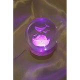 Yunus 3D Led Işık Cam Küre Tek Renk Gece Lambası Mega Boy