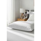 YUNUSOĞLU HOME 2 Adet Sıvı Geçirmez Microfiber Yastık Alezi - Su Geçirmez Yastık Koruyucu 50X70 cm - 50 x 70 cm - Ekru
