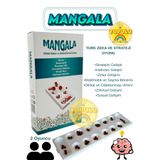 YUPULU Tarihi Zeka ve Strateji Oyunu (Mangala) Plastik Mangala Akıl Oyunu Mancala