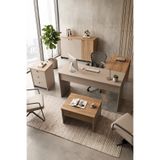 Yurudesign Alva Yönetici Ofis Takımı Makam Takımı Ofis Masası Sehpa Keson Klasör Dolabı 4 Parça Sepet-Kumsal AL7-COS