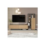 Yurudesign Blaze Tv Ünitesi Kapaklı Kitaplık Raf Sepet-Antrasit BE1-SA
