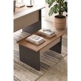 Yurudesign Motto 72x45 cm Ofis Sehpası Orta Sehpa Sepet-Kumsal-Antrasit MT2-CSA