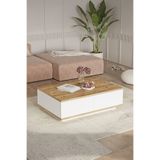 Yurupa Aven Orta Sehpa 60x90cm 2 Kapaklı Çam-beyaz AVE14-AW