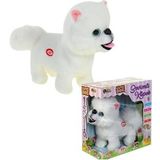 Yuruyen, Ses Tekrarli, Hareketli Sevimli Pelus Kopek Boo - Cute Pomeranian