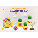YUUP Emoji Temalı Çim Adam 6'lı Set – Çocuklar İçin Eğitici ve Eğlenceli Bitki Yetiştirme Kiti