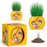 YUUP Okul Temalı Çim Adam 6'lı Set – Çocuklar İçin Eğitici ve Eğlenceli Bitki Yetiştirme Kiti
