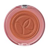 Yves Rocher 3.3 gr Akaju Kahve Allık