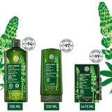 Yves Rocher Dökülme Karşıtı Bitkisel Koruma Kalkanı Doğal Içerikli Saç Bakım Seti