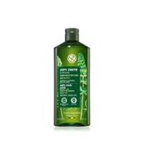 Yves Rocher ERKEKLER İÇİN SAÇ DÖKÜLMESİ KARŞITI PREBİYOTİK VEGAN ŞAMPUAN 300ML