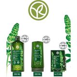 Yves Rocher Niasinamid B6 Kür Şampuan ve Saç Kremi Dökülme Karşıtı Prebiyotik Saç Bakım 3'lü Set