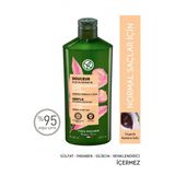 Yves Rocher Normal/Kuru Saclar Icin (Doucer) Besleyici Kolay Tarama Sampuani