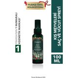 Yves Rocher Yılbaşı Saç ve Vücut Spreyi-Kış MEYVELERI-65887