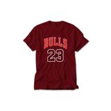 Z zepplin Chicago Bulls 23 Gri Tişört