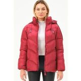 Z6769 DEWBERRY BAYAN MONT-BORDO