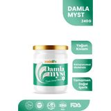 Zadelife Damlamyst Damla Sakızı Macunu 240 gr