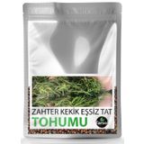 Zahter Kekik Tohumu Yüksek Verim 30 Adet