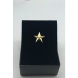Zaim Aksesuar 312 Gold Yıldız Broş