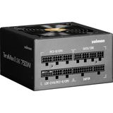 Zalman ZM750-TMX2SE TERAMAX2SE 750W 80PLUS Gold Atx3.1 + Pcı5.1 Siyah Full-Modular Power Supply - 750 W