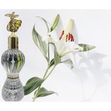 Zambak Kolonyası 300 Ml