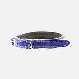Zampa 35 cm Mor Köpek Boyun Tasması