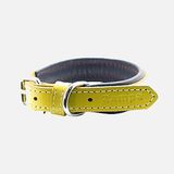 Zampa 47 cm Sarı Köpek Boyun Tasması